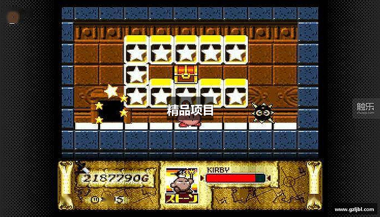 精品项目